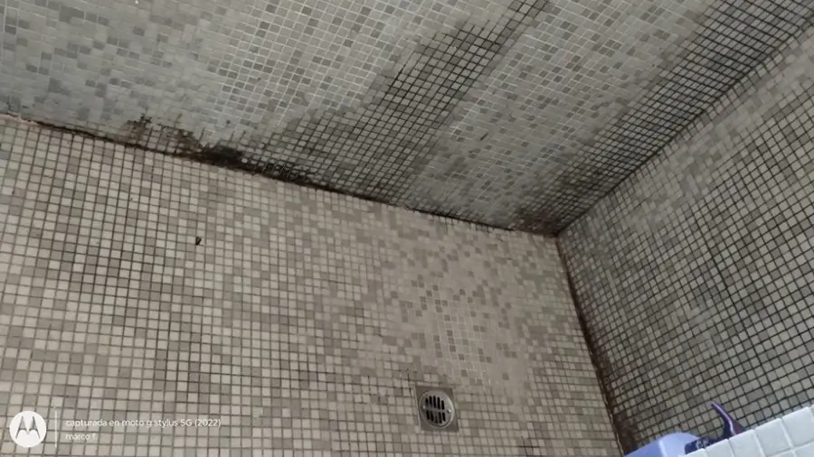 Professional House Cleaning